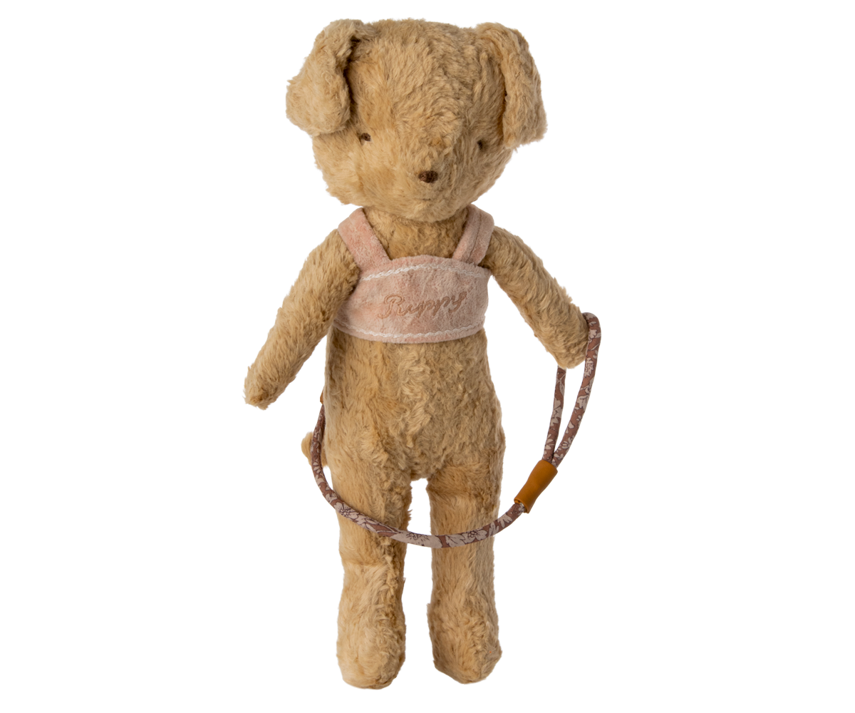 Puppy supply, Harness