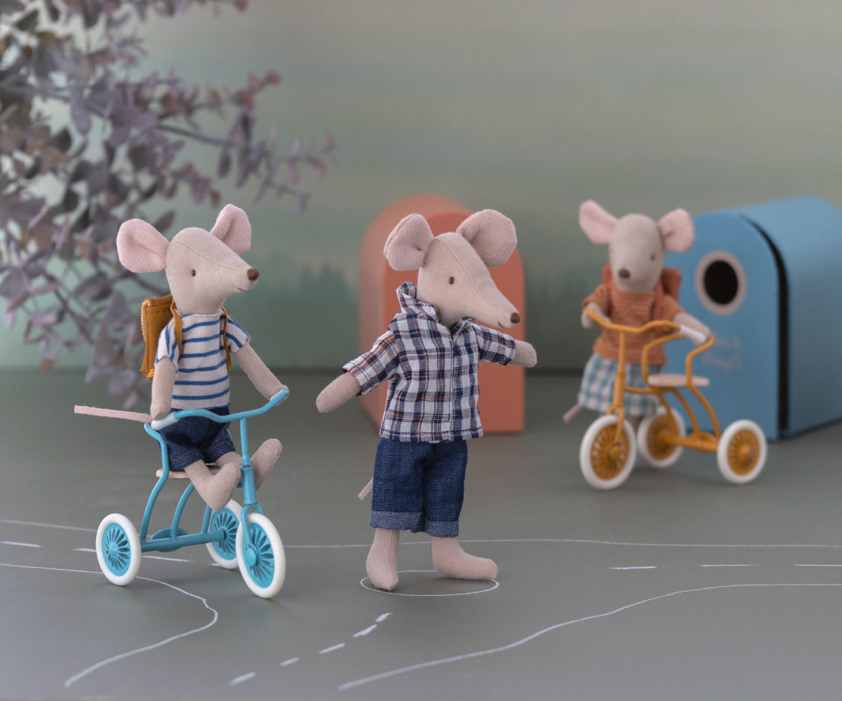 Dad mouse